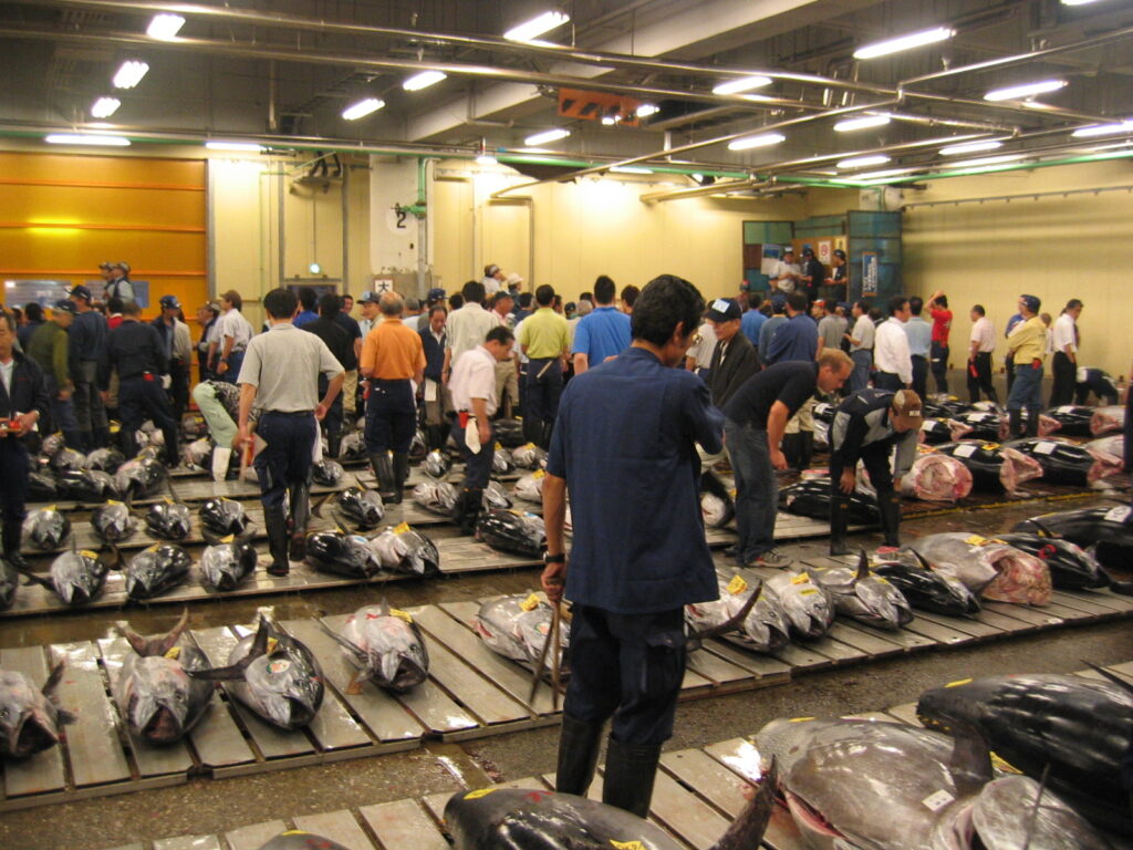 tuna auction at Tsukiji market.